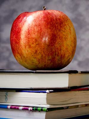 免费ddos平台攻击